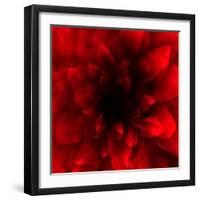 Flower Red Shade-Johan Lilja-Framed Giclee Print