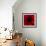 Flower Red Shade-Johan Lilja-Framed Giclee Print displayed on a wall