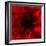 Flower Red Shade-Johan Lilja-Framed Giclee Print