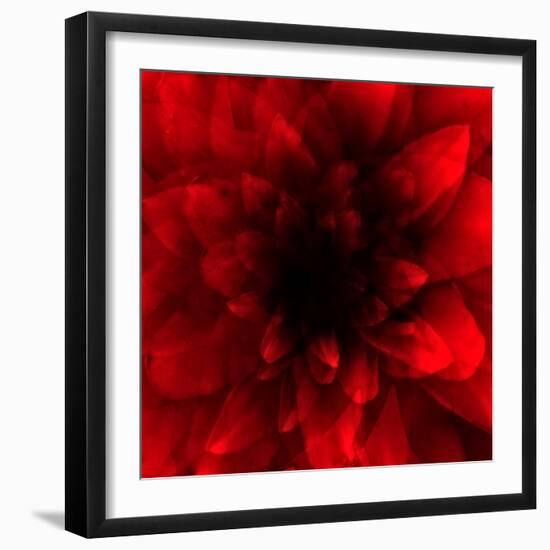 Flower Red Shade-Johan Lilja-Framed Giclee Print