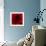 Flower Red Shade-Johan Lilja-Framed Giclee Print displayed on a wall