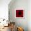 Flower Red Shade-Johan Lilja-Framed Giclee Print displayed on a wall