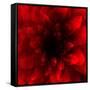 Flower Red Shade-Johan Lilja-Framed Stretched Canvas