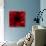 Flower Red Shade-Johan Lilja-Stretched Canvas displayed on a wall