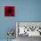 Flower Red Shade-Johan Lilja-Premium Giclee Print displayed on a wall