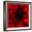 Flower Red Shade-Johan Lilja-Framed Premium Giclee Print