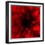 Flower Red Shade-Johan Lilja-Framed Premium Giclee Print