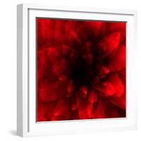 Flower Red Shade-Johan Lilja-Framed Premium Giclee Print