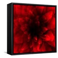 Flower Red Shade-Johan Lilja-Framed Stretched Canvas