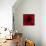 Flower Red Shade-Johan Lilja-Framed Stretched Canvas displayed on a wall