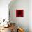 Flower Red Shade-Johan Lilja-Stretched Canvas displayed on a wall