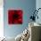 Flower Red Shade-Johan Lilja-Giclee Print displayed on a wall