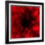 Flower Red Shade-Johan Lilja-Framed Giclee Print