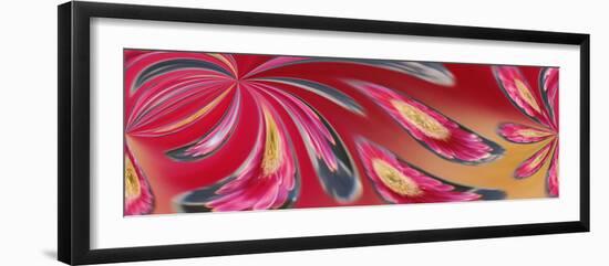 Flower Refracted in Waterdrop-Adam Jones-Framed Premium Photographic Print