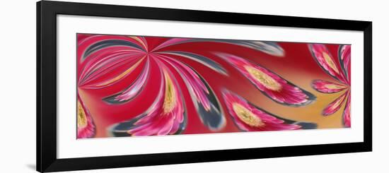 Flower Refracted in Waterdrop-Adam Jones-Framed Photographic Print