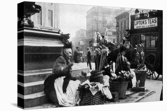 Flower Sellers at Piccadilly Circus, London, 1901-null-Stretched Canvas