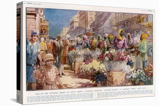 Flower Sellers - Cape Town, South Africa-null-Stretched Canvas