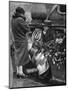 Flower Sellers, Piccadilly Circus, London, 1926-1927-null-Mounted Giclee Print