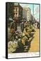 Flower Sellers, San Francisco, California-null-Framed Stretched Canvas