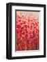 Flower Series 13-null-Framed Art Print