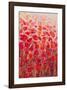 Flower Series 13-null-Framed Art Print