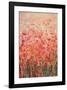 Flower Series 9-null-Framed Art Print