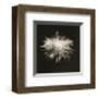 Flower Series I-Walter Gritsik-Framed Art Print