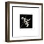 Flower Series II-Walter Gritsik-Framed Art Print