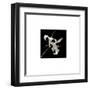 Flower Series II-Walter Gritsik-Framed Art Print