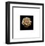 Flower Series III-Walter Gritsik-Framed Art Print