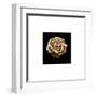 Flower Series III-Walter Gritsik-Framed Art Print