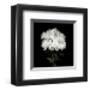 Flower Series IX-Walter Gritsik-Framed Art Print