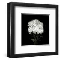 Flower Series IX-Walter Gritsik-Framed Art Print