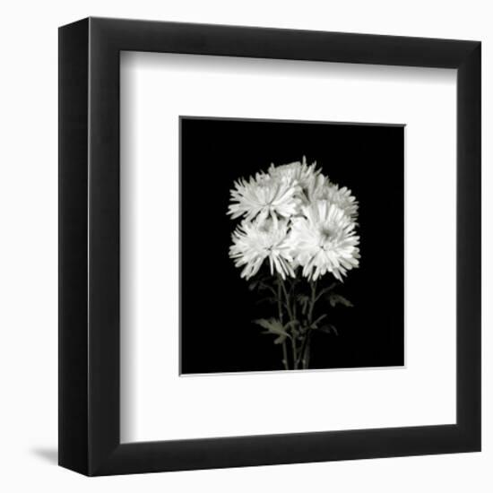 Flower Series IX-Walter Gritsik-Framed Art Print