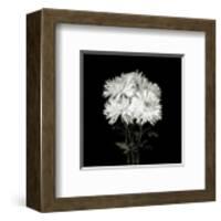 Flower Series IX-Walter Gritsik-Framed Art Print