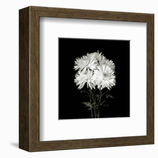 Flower Series IX-Walter Gritsik-Framed Art Print