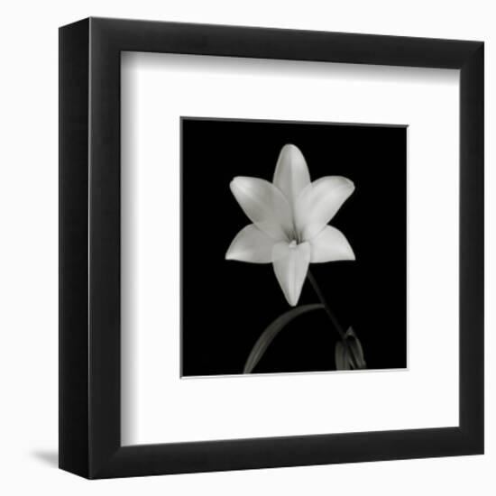 Flower Series VI-Walter Gritsik-Framed Art Print