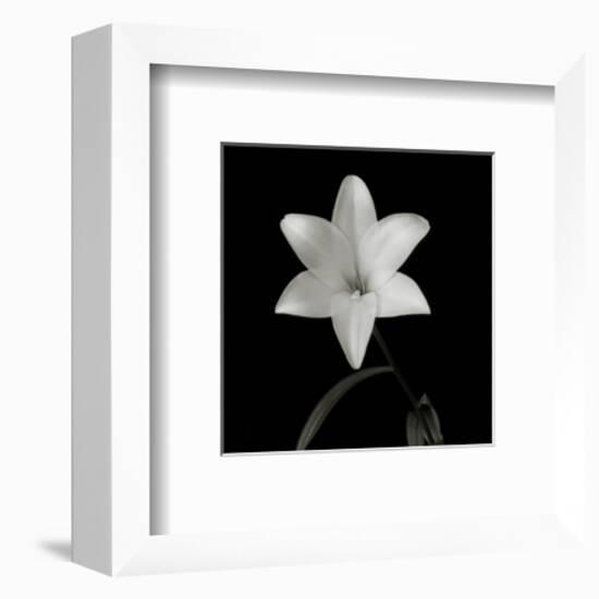 Flower Series VI-Walter Gritsik-Framed Art Print