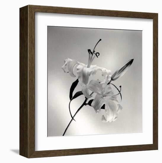 Flower Series X-Walter Gritsik-Framed Art Print