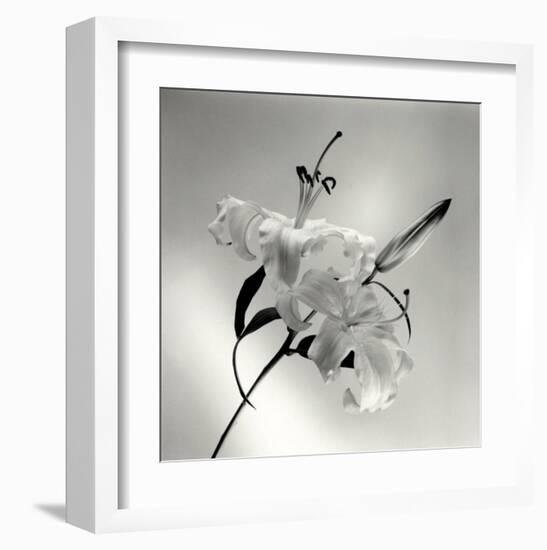 Flower Series X-Walter Gritsik-Framed Art Print