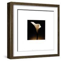 Flower Series XII-Walter Gritsik-Framed Art Print