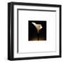 Flower Series XII-Walter Gritsik-Framed Art Print