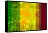 Flower Shades Green Yellow Red-Cora Niele-Framed Stretched Canvas