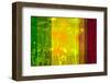 Flower Shades Green Yellow Red-Cora Niele-Framed Photographic Print
