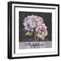 Flower Shop I-Patricia Pinto-Framed Premium Giclee Print