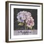 Flower Shop I-Patricia Pinto-Framed Premium Giclee Print