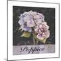 Flower Shop I-Patricia Pinto-Mounted Premium Giclee Print