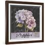 Flower Shop I-Patricia Pinto-Framed Art Print