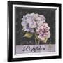 Flower Shop I-Patricia Pinto-Framed Art Print