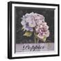 Flower Shop I-Patricia Pinto-Framed Art Print